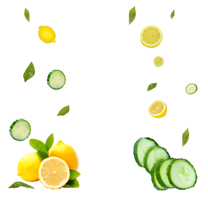 LEMON CUCUMBER MINT INGREDIENTS
